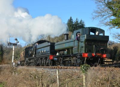 South Devon Railway - Bishops Bridge Loop photo