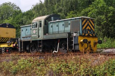 D9555 at Midland Railway Centre. &copy; South Coast Trainspotter