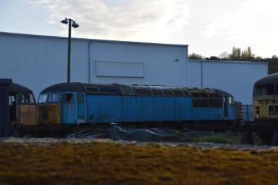 56009 at Longport Electro-Motive Diesel Works. &copy; Kempydak