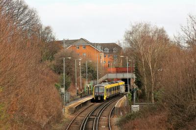 Rice Lane photo