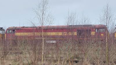 60083 at Toton TMD. &copy; MemberOfThePublic