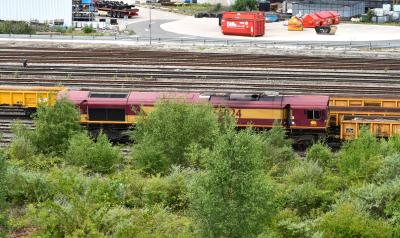 66024 at Toton TMD. &copy; MJM