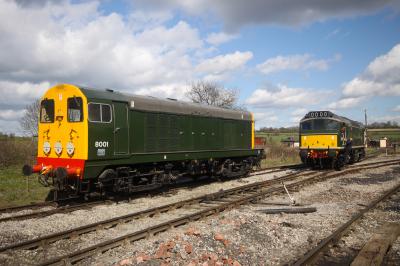 8001,D7671 at Midland Railway Centre. &copy; trainlogger