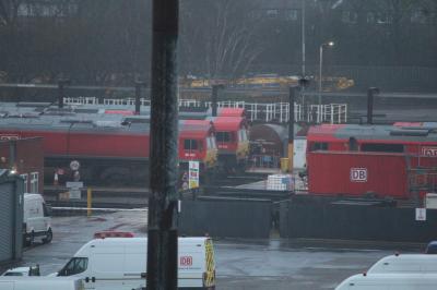 Toton TMD photo