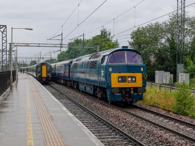 photo of D1015 at Bushey
