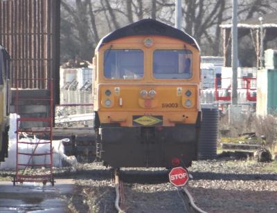 31st January image