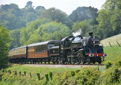 Dartmouth Steam Railway - Greenway Halt photo