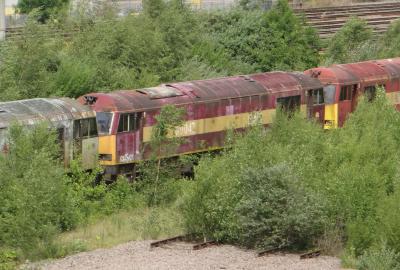 60042 at Toton TMD. &copy; MJM